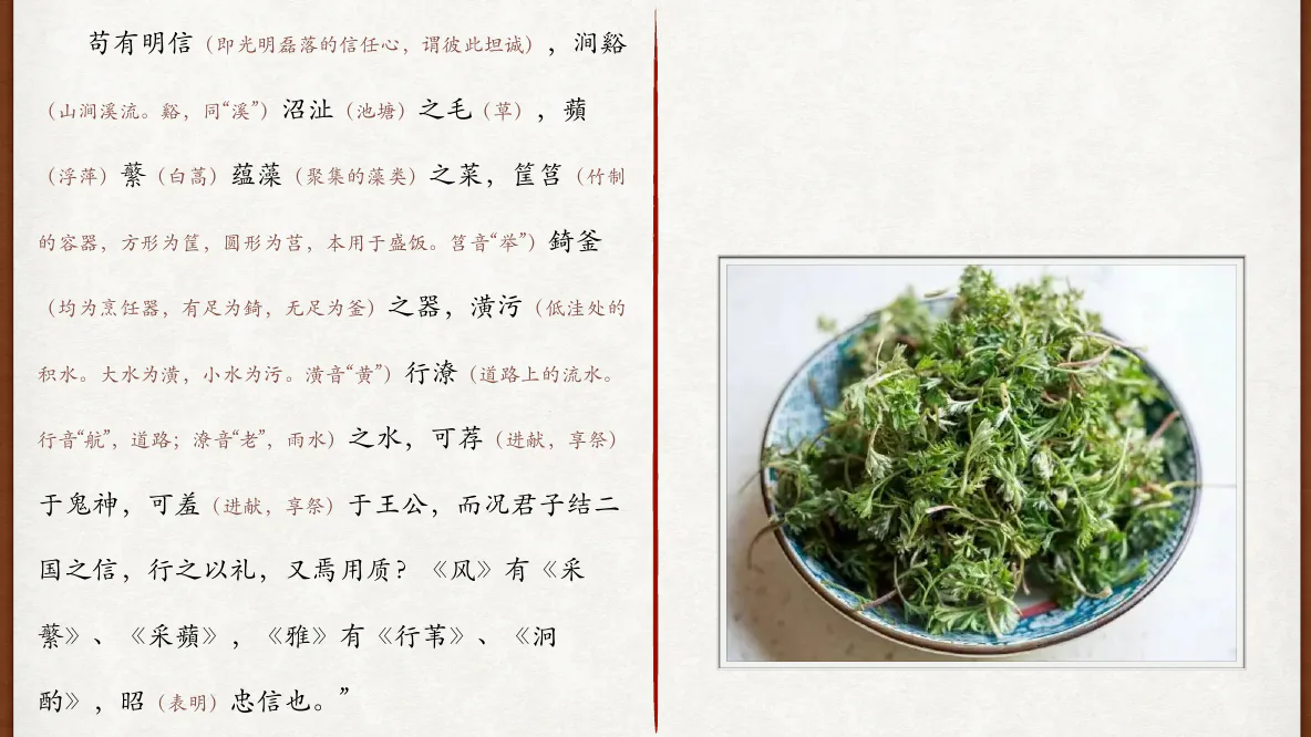 关也《周郑交质》课件第14页