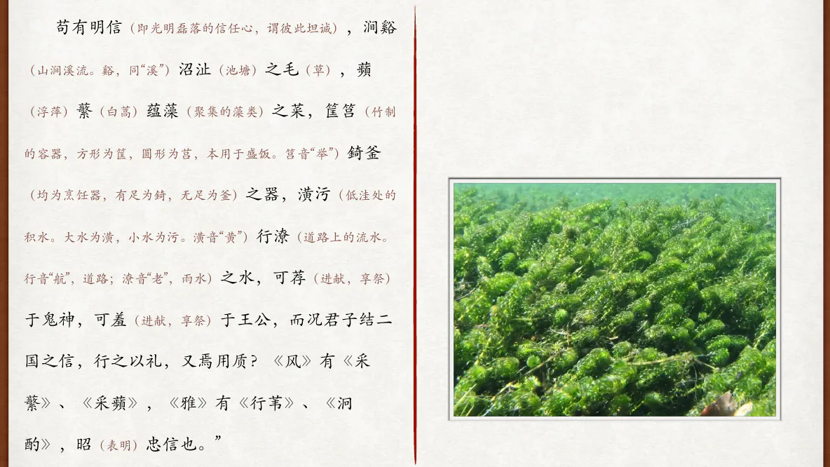 关也《周郑交质》课件第15页