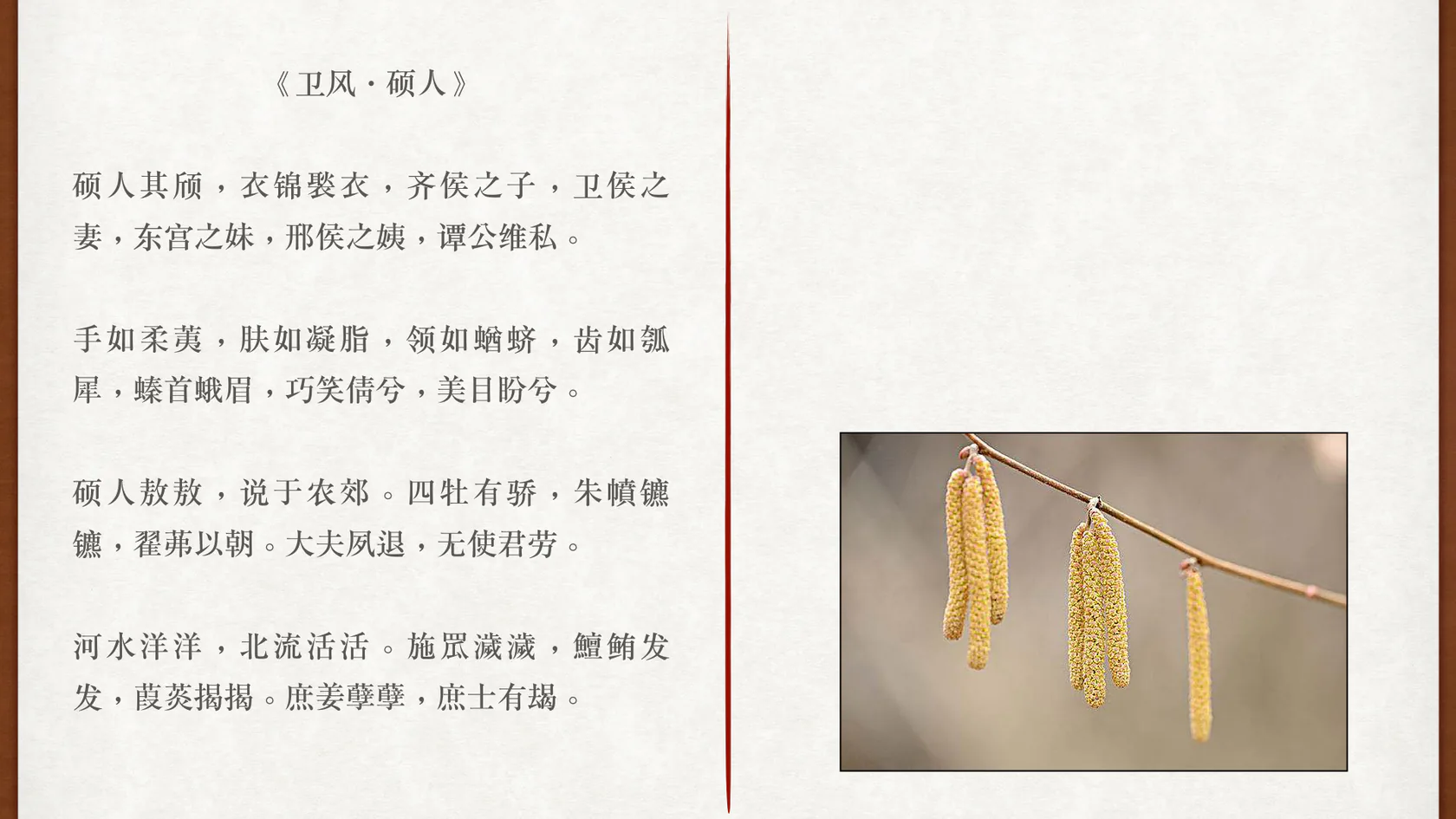 《硕人》全文与柔荑课程图
