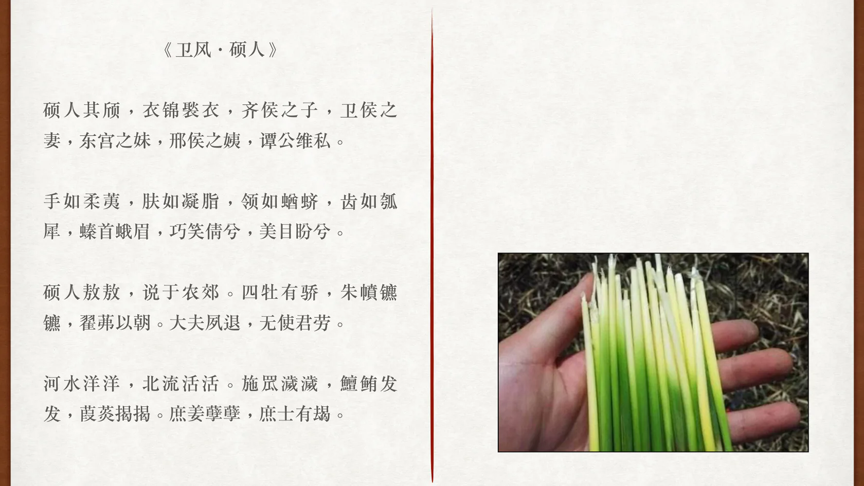 手如柔荑课程图