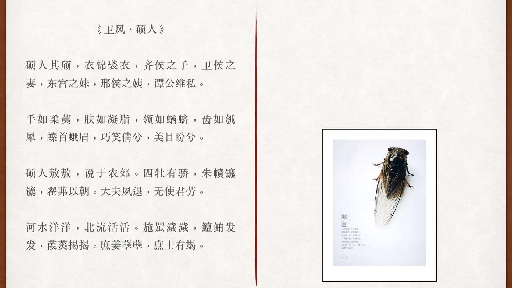 螓首课程图