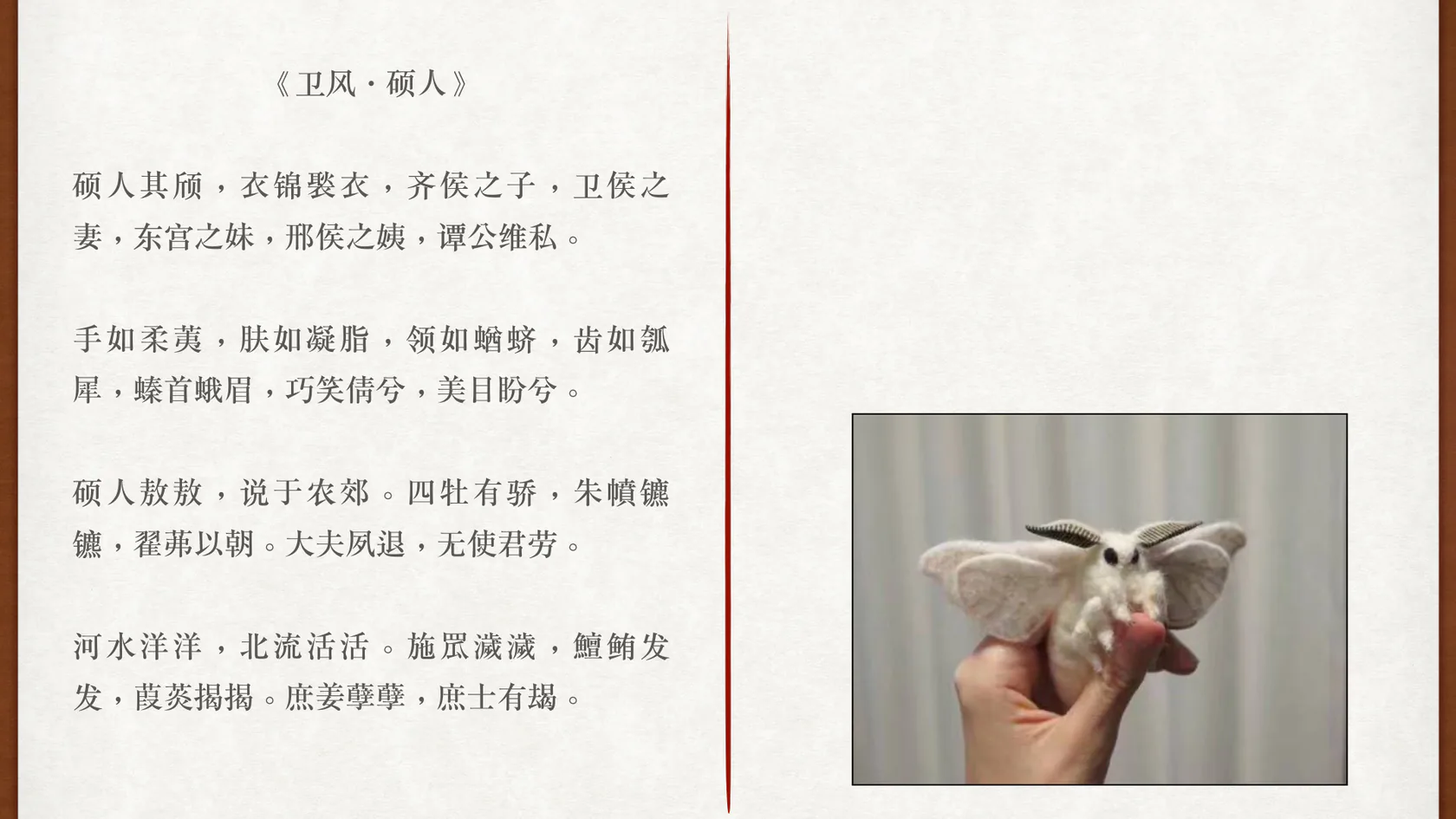蛾眉所指的蚕蛾课程图