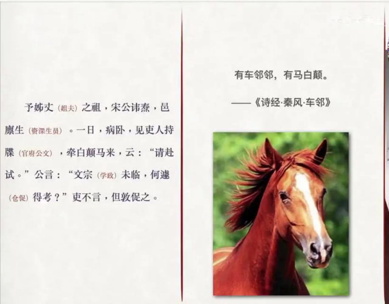 关也《考城隍》《尸变》课件第15页：白颠马