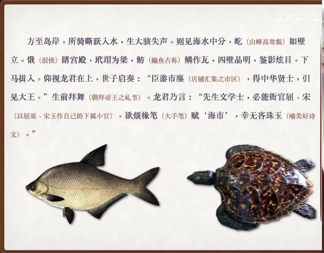 关也《罗刹海市》课件第47页：玳瑁为梁与鲂鳞作瓦