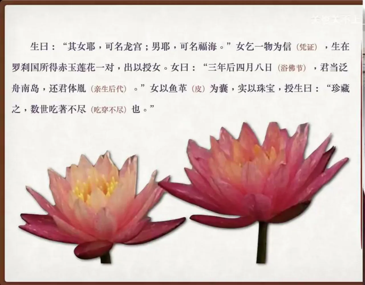 关也《罗刹海市》课件第66页：赤玉莲花信物