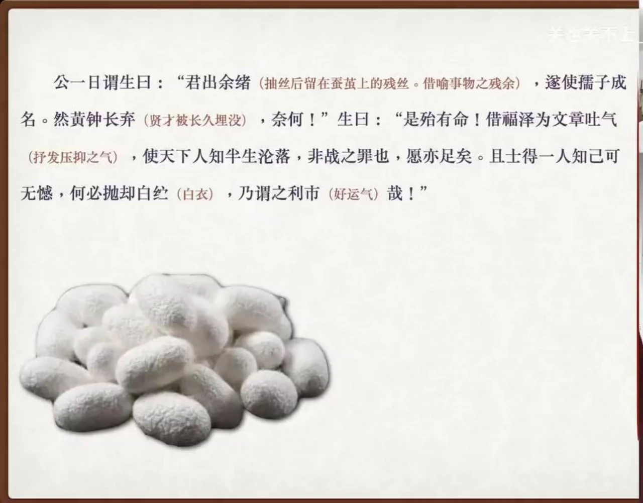 关也《叶生》课件第16页：蚕茧余绪