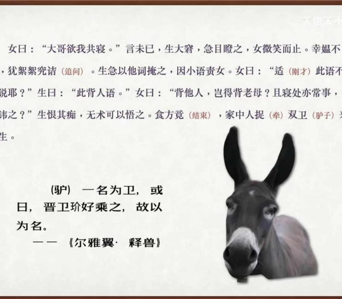 关也《婴宁》课件第40页：双卫与驴的别称