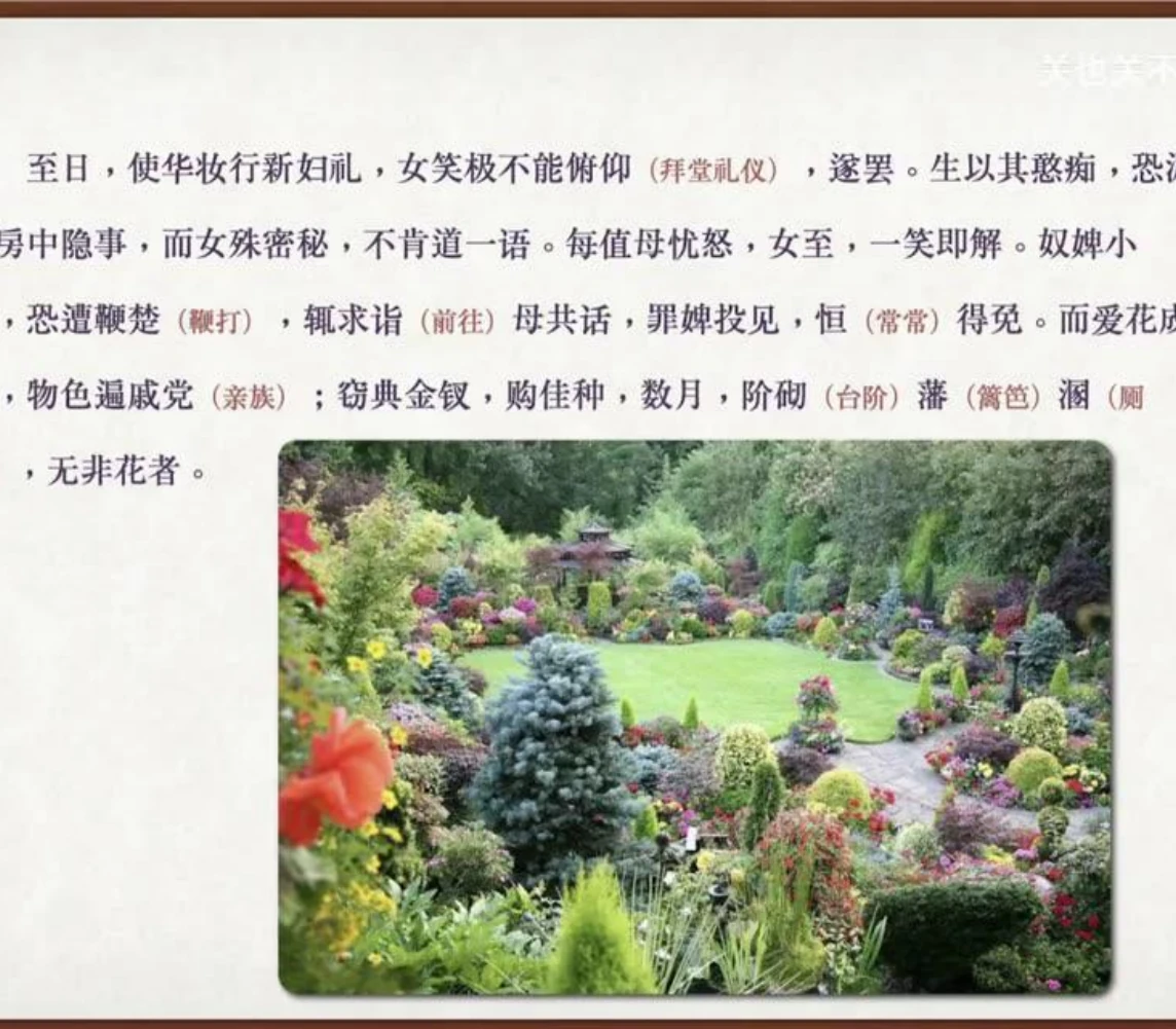 关也《婴宁》课件第52页：爱花成癖的庭园
