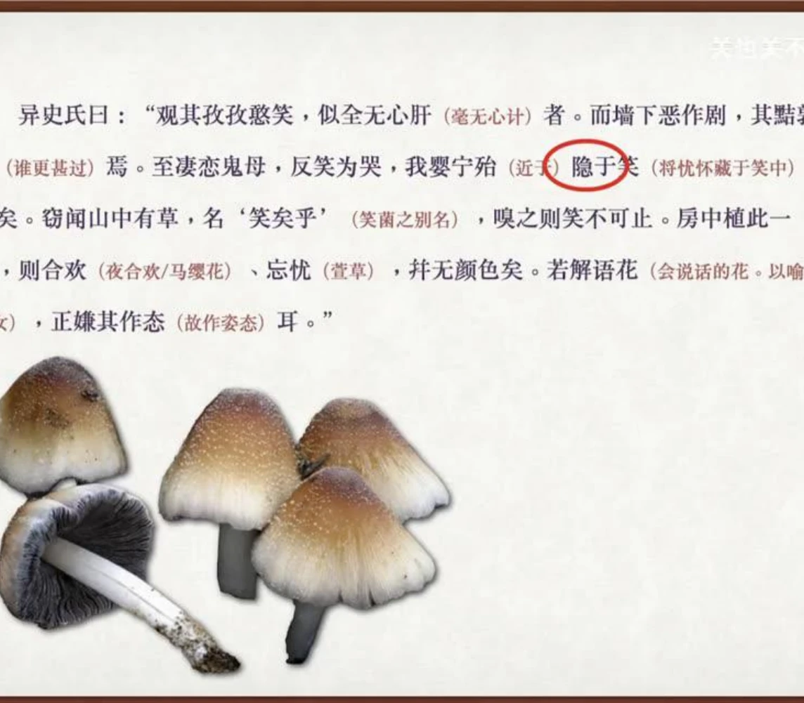 关也《婴宁》课件第60页：笑矣乎