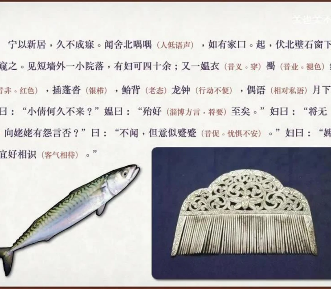 关也《聂小倩》课件第12页：蓬沓与银栉