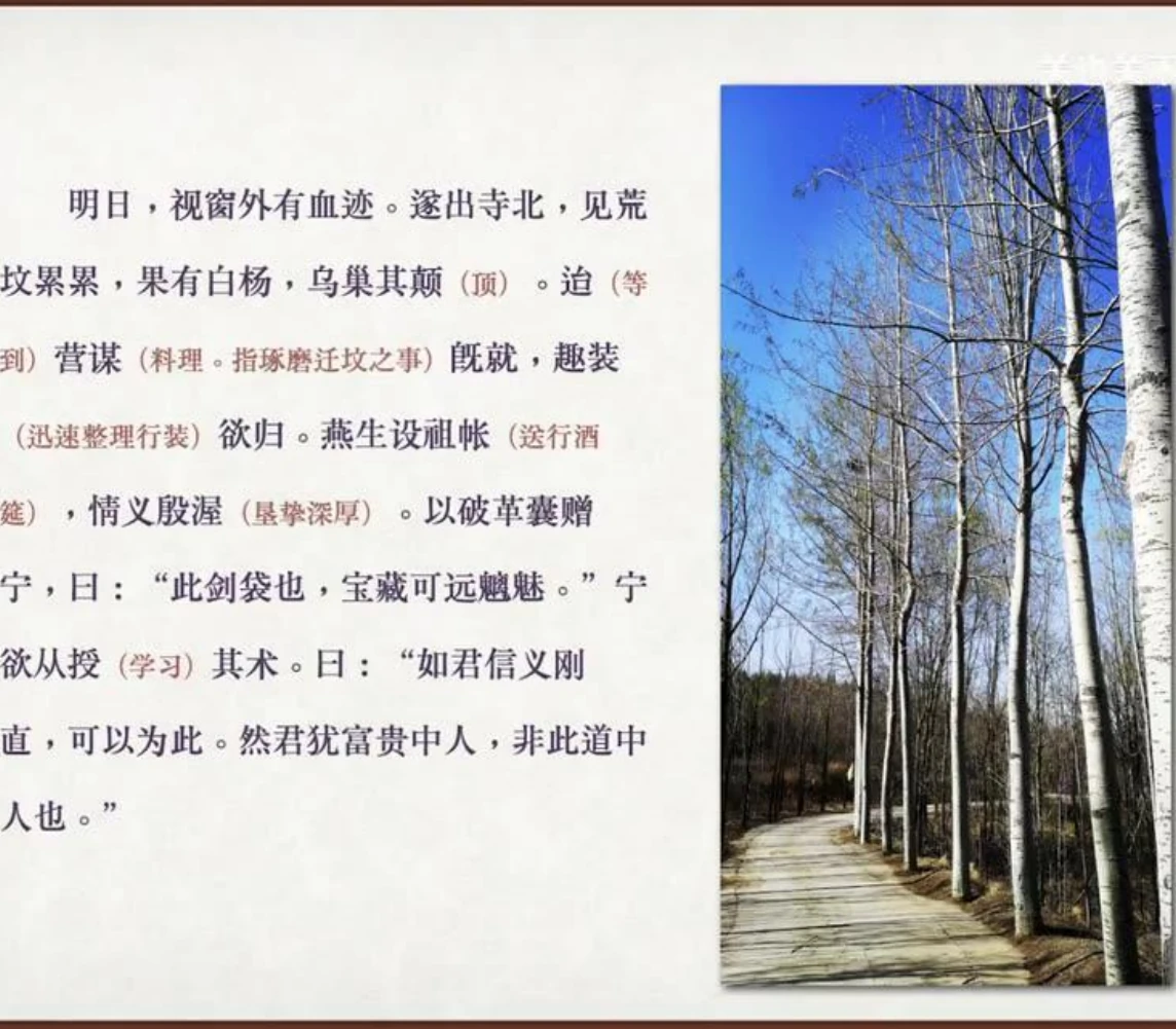 关也《聂小倩》课件第30页：墓地白杨