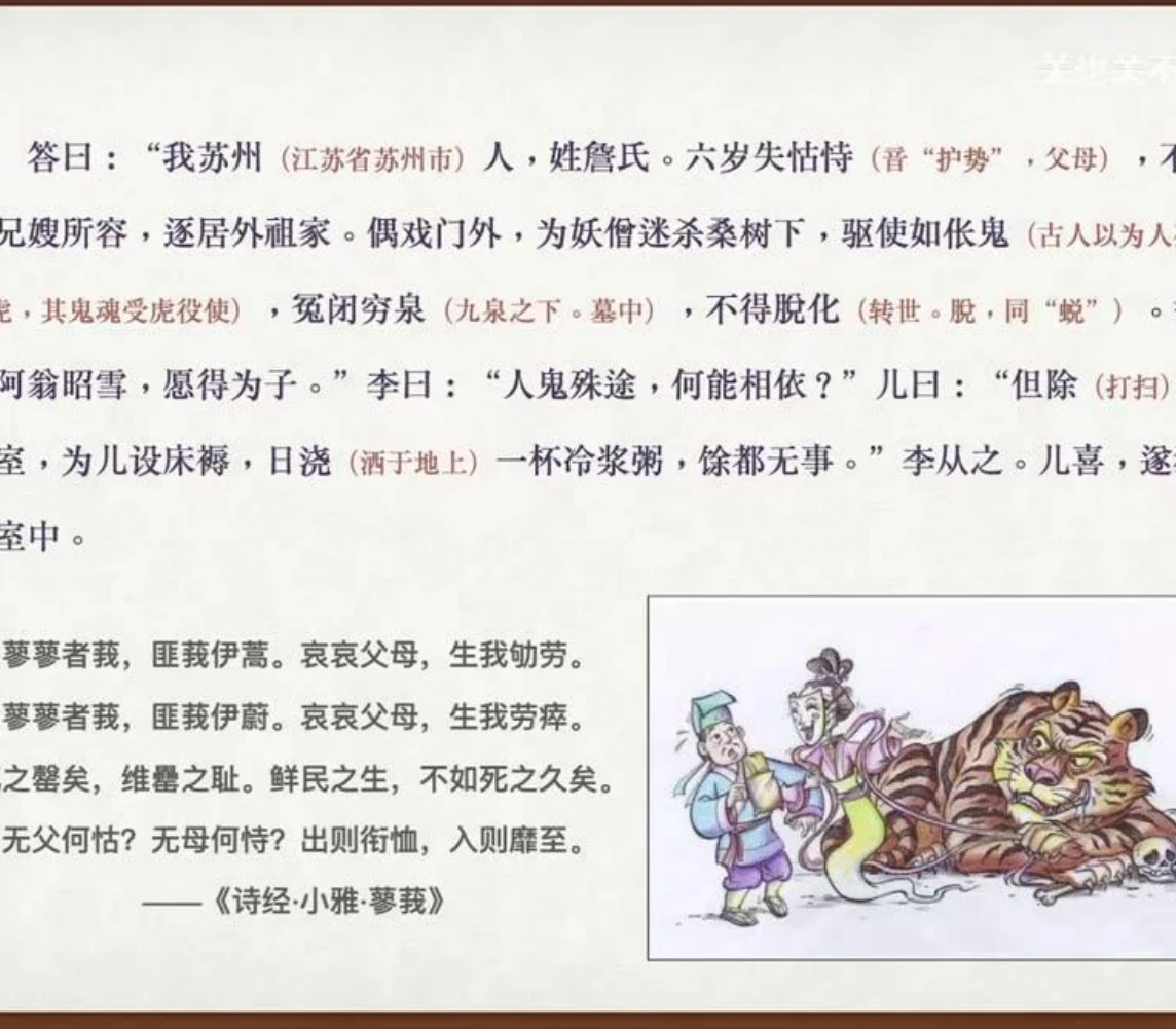 关也《珠儿》课件第17页：为虎作伥