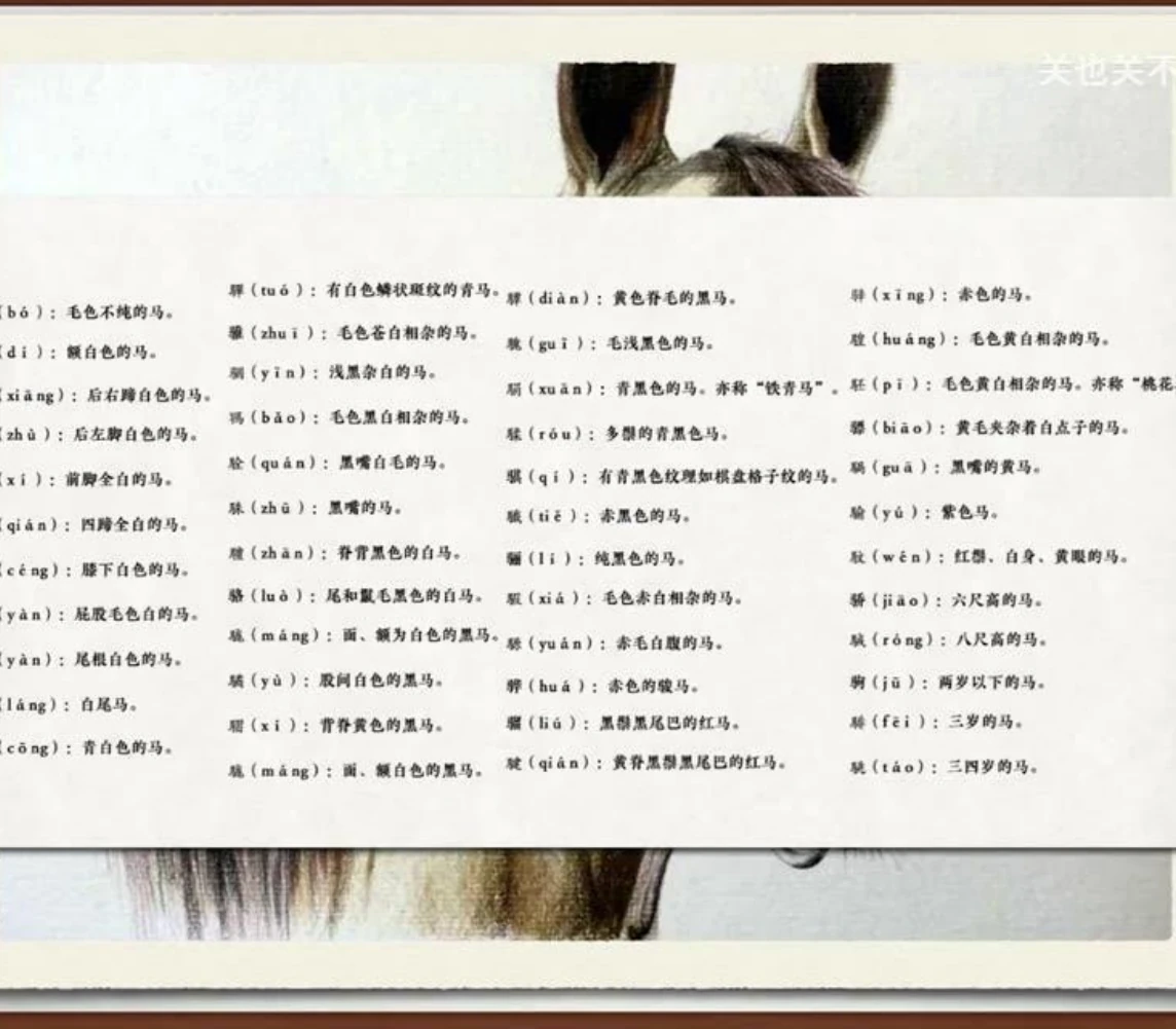 关也《珠儿》课件第24页：古代马名表
