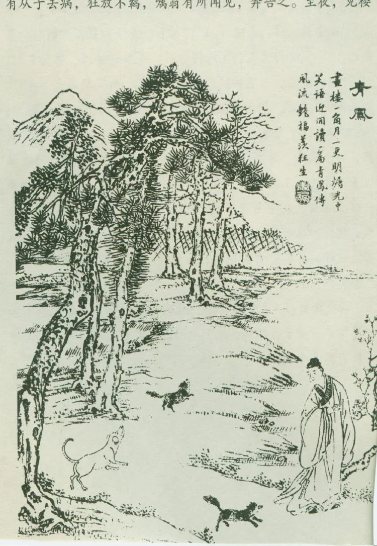 原课所附《青凤》插图：青凤化狐遇险