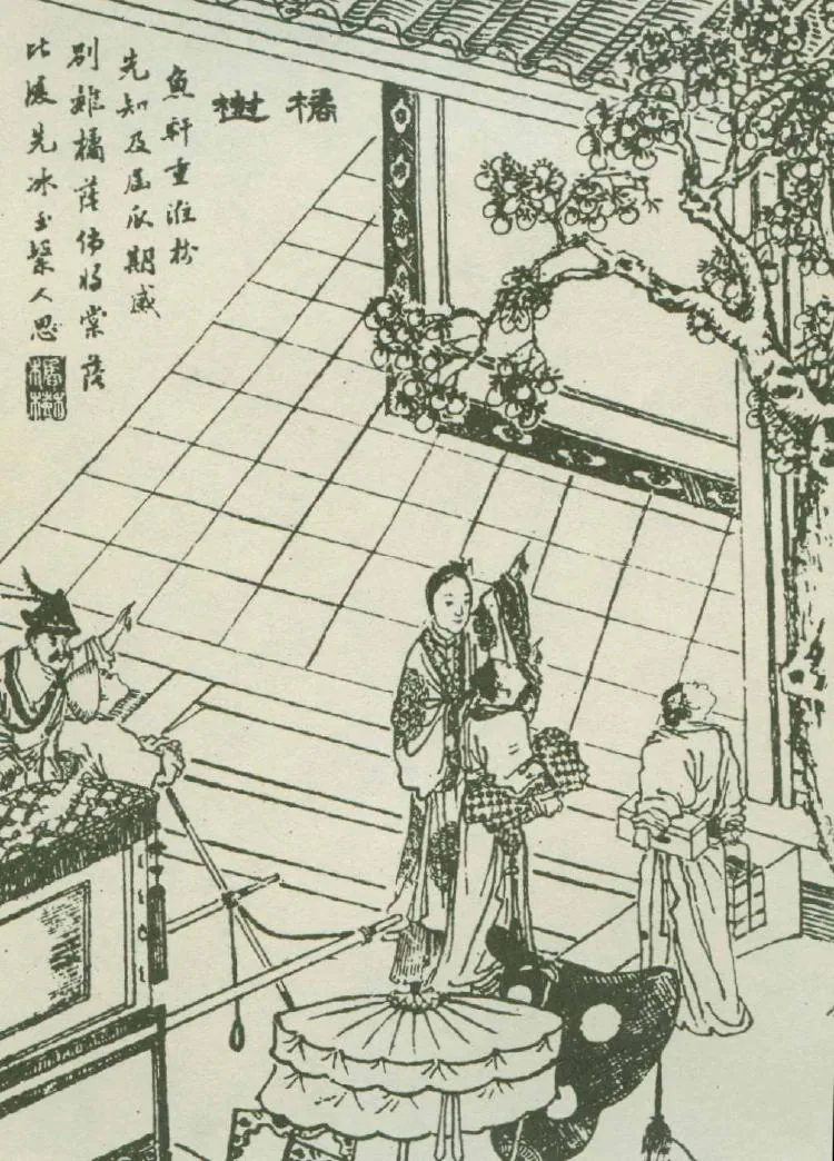 原课所附《橘树 树犹如此，何况人》插图
